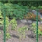 Garden Zone Garden Craft 36 in. H X 50 ft. L Steel Welded Wire Fence 2x3 in. 033650 - alternate 4